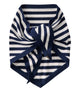 Classic Navy/Sea Salt Stripe