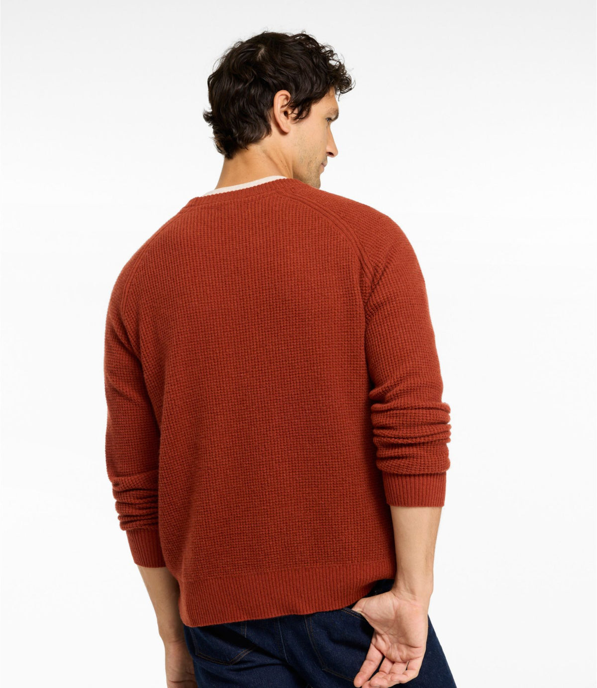 L.L.Bean Men's Signature Cashmere Sweater Forest Shade