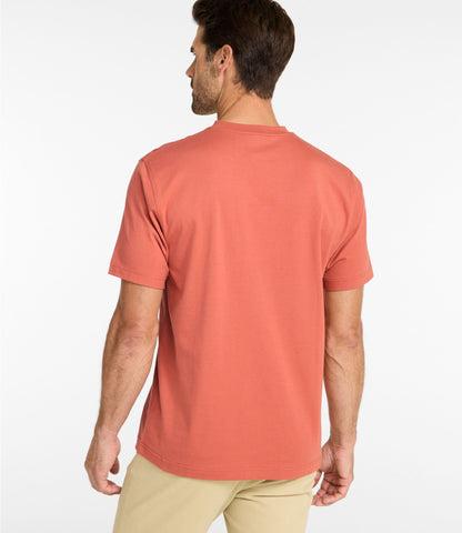 L.L.Bean Men's Carefree Unshrinkable Tee, Traditional Fit, Henley Charcoal Heather