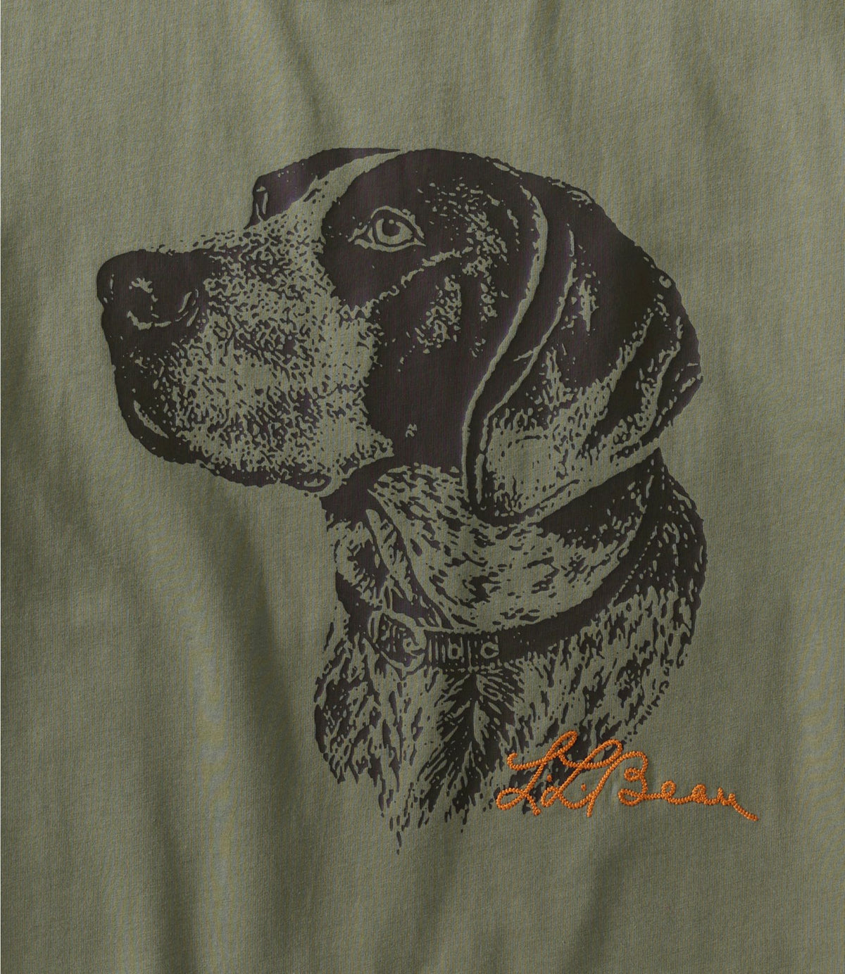 L.L.Bean Men's Signature Northwoods Short-Sleeve Tee, Graphic Black Slate