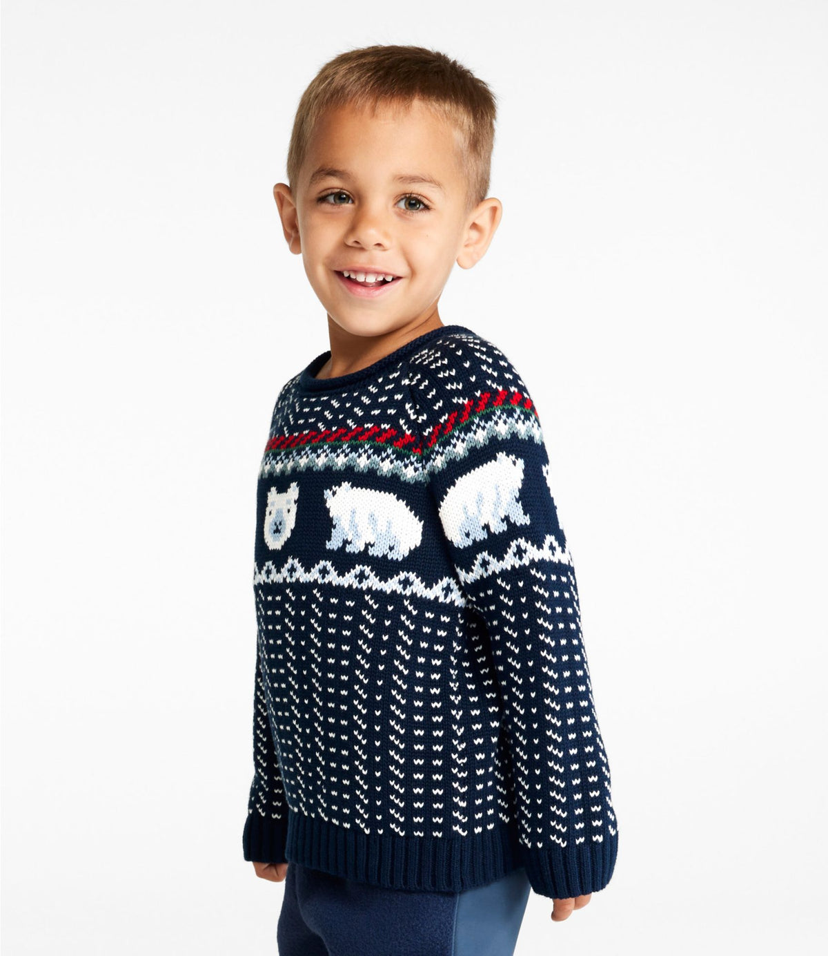 L.L.Bean Infants' and Toddlers' Cotton Rollneck Sweater Classic Navy Polar Fairisle