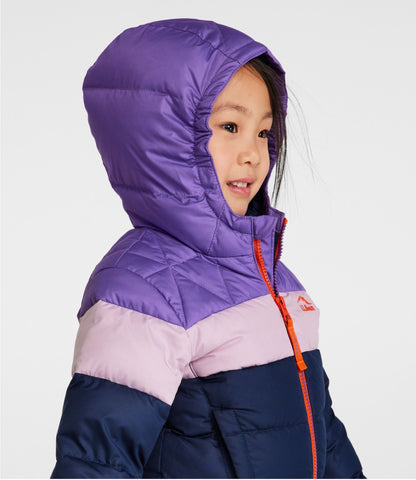 L.L.Bean Infants' and Toddlers' Bean's Down Jacket, Colorblock Dark Bronze