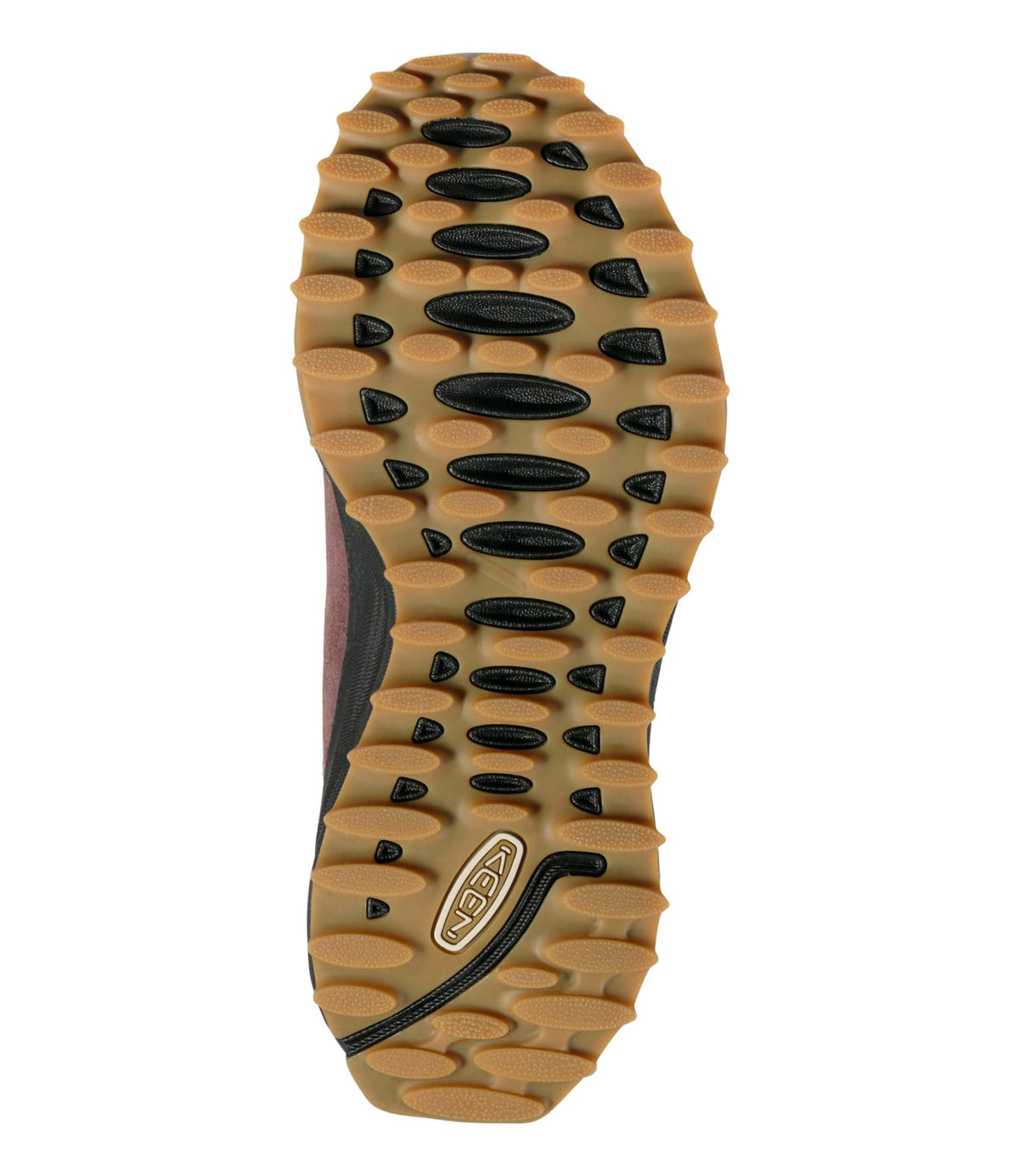L.L.Bean Women's Keen Jasper Zionic Sneakers Huckleberry/Cameo Rose