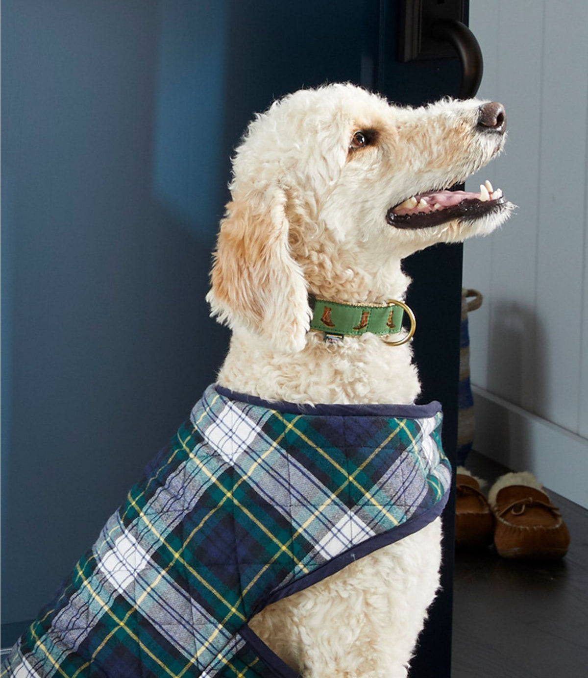 L.L.Bean Novelty Dog Collar Katahdin