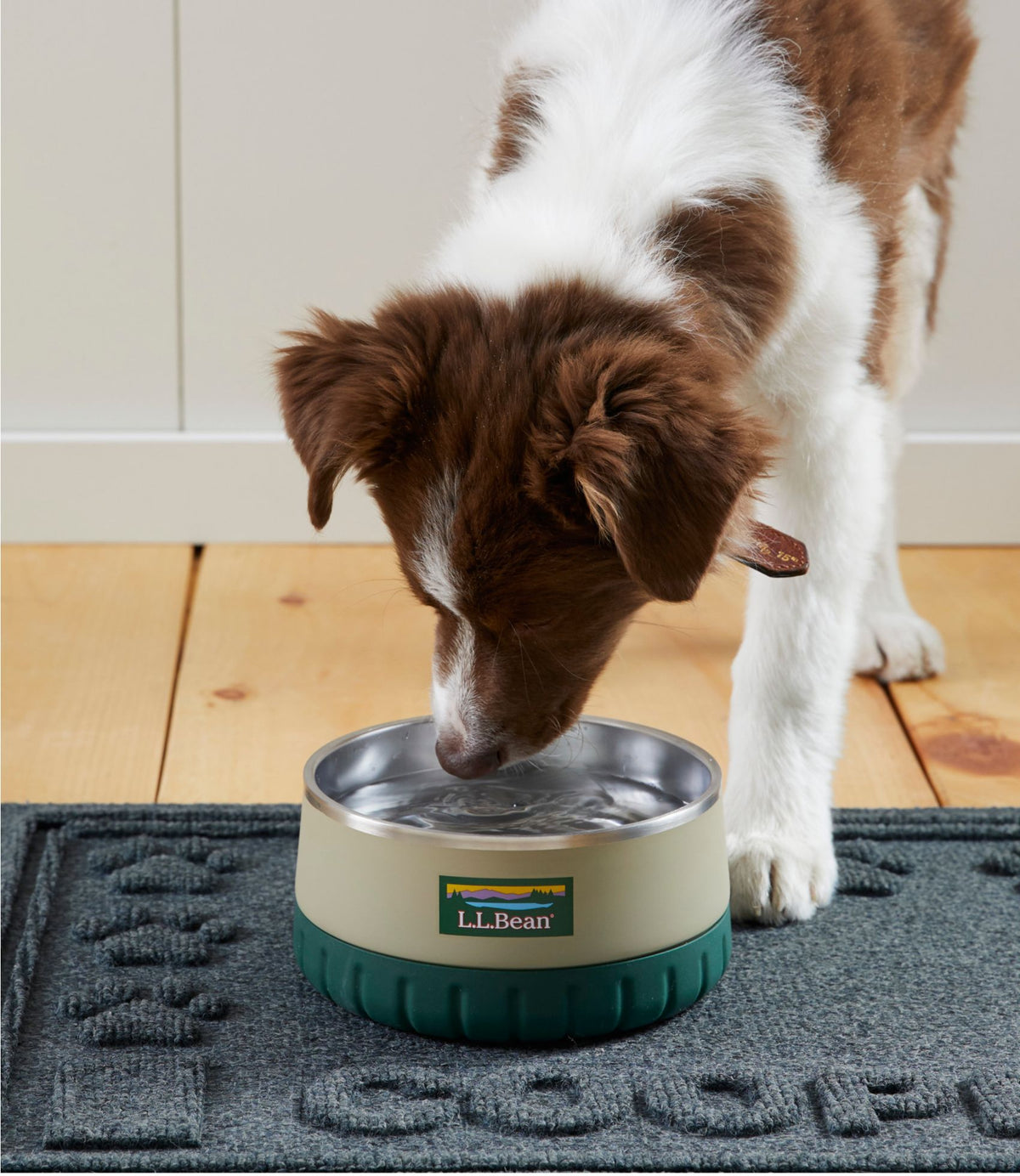 L.L.Bean Recycled Waterhog Dog Placemat, Personalized Bluestone
