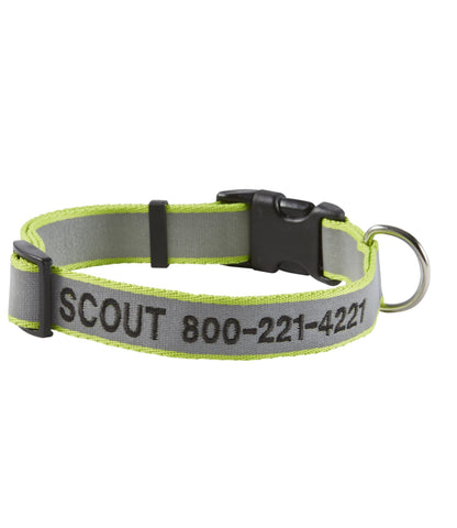 L.L.Bean Personalized Pet Collar, Reflective Lime