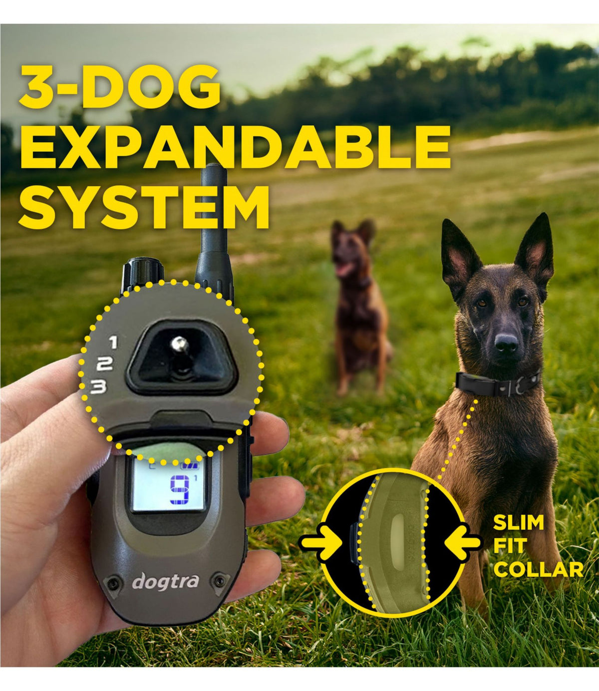L.L.Bean Dogtra ARC-X Training Collar Black