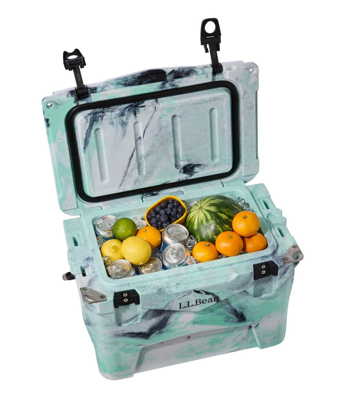 L.L.Bean Woodlands Heavy Duty Cooler, 20 quart Deepest Green