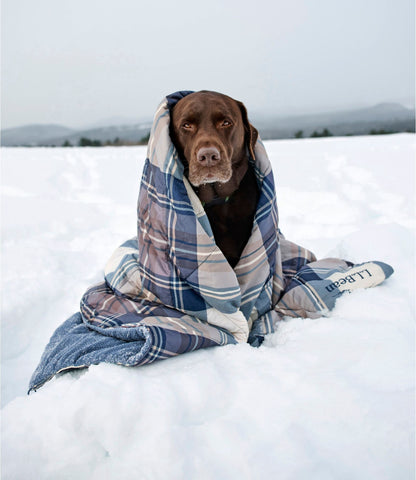 L.L.Bean L.L.Bean Fleece Puffer Blanket Burgundy/Apple Cinnamon