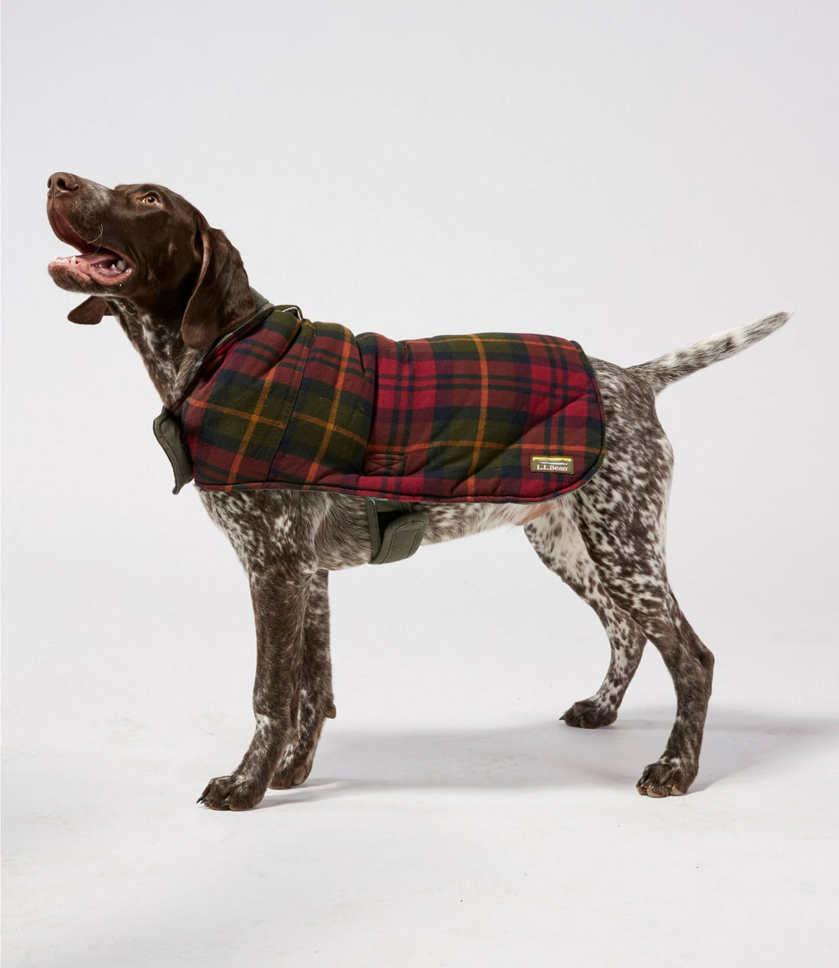 L.L.Bean Reversible Field Coat for Dogs Canyon Rust