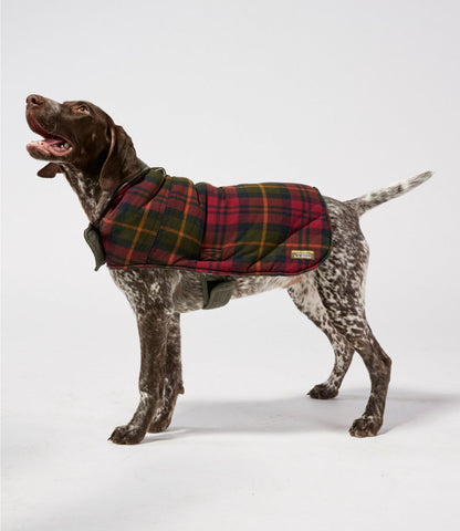 L.L.Bean Reversible Field Coat for Dogs Canyon Rust