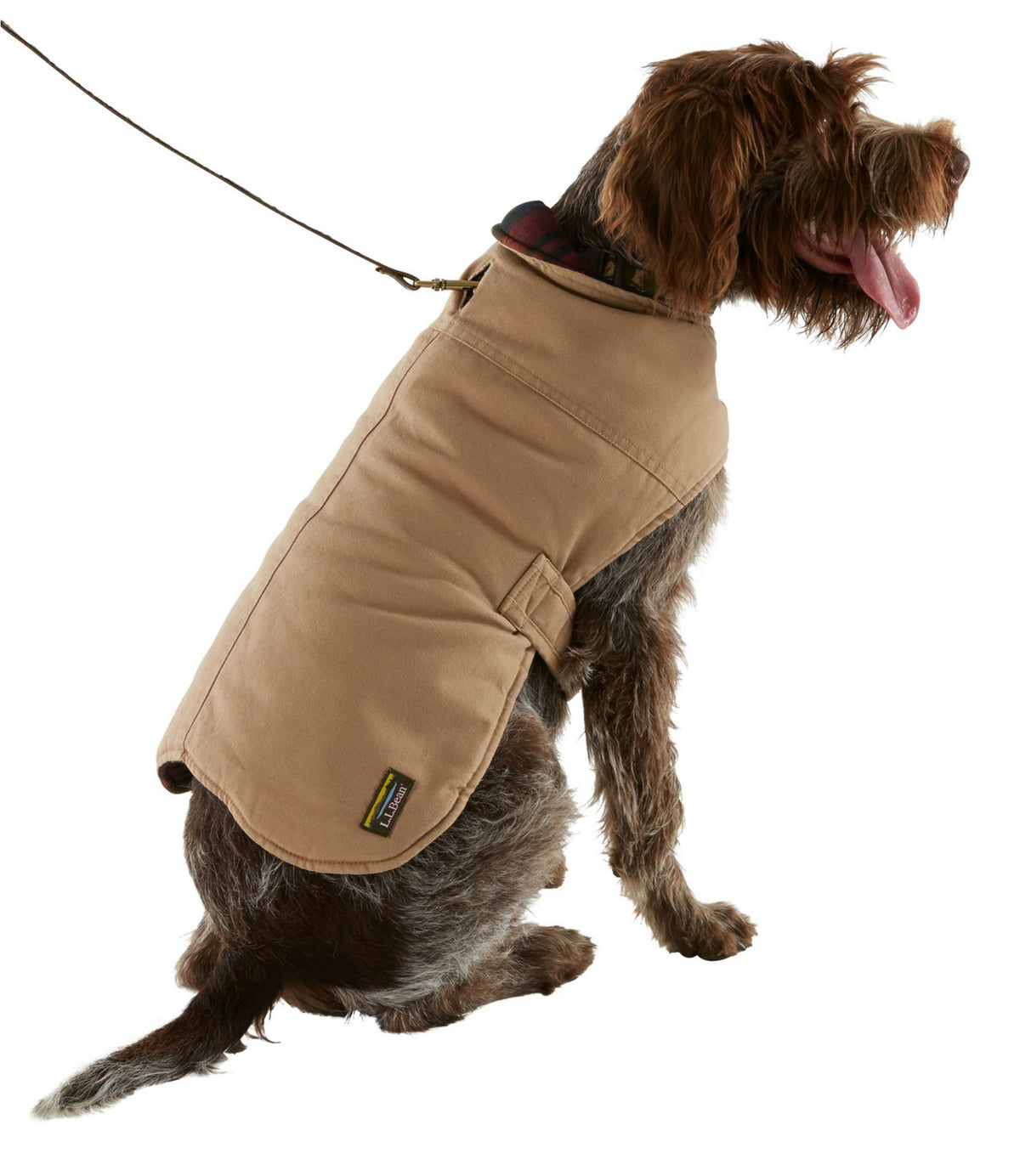 L.L.Bean Reversible Field Coat for Dogs Canyon Rust