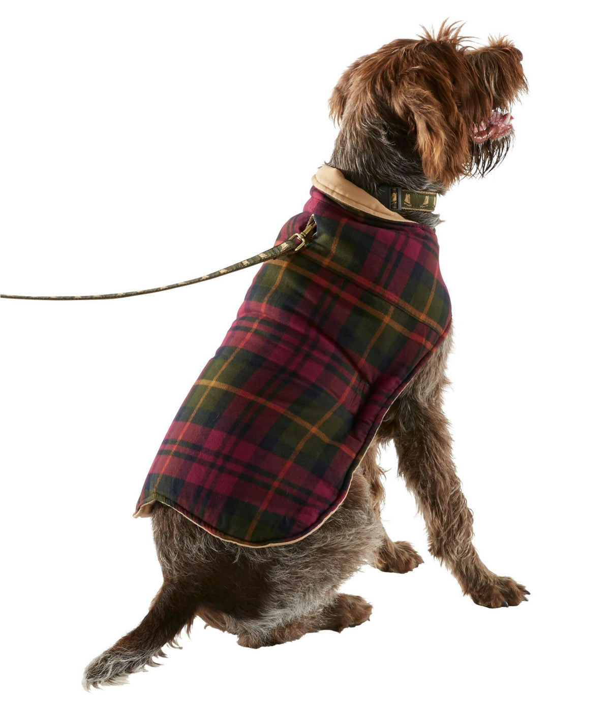 L.L.Bean Reversible Field Coat for Dogs Canyon Rust
