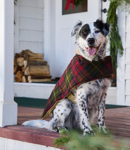 L.L.Bean Reversible Field Coat for Dogs Canyon Rust