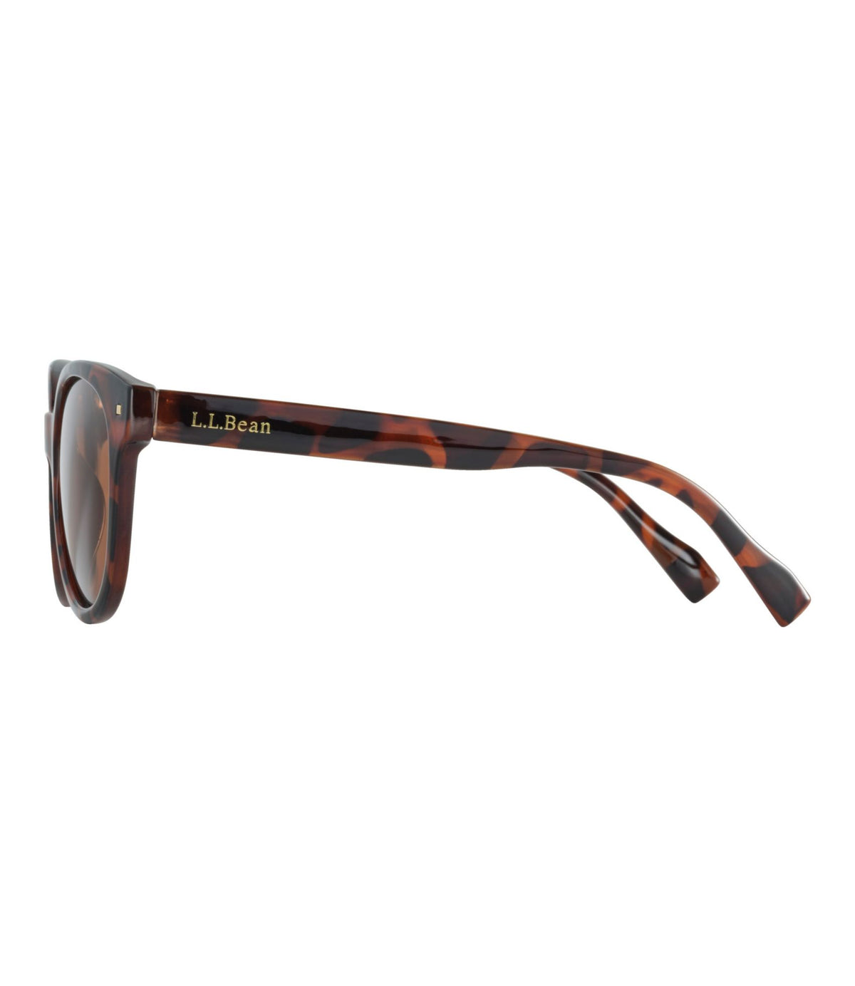 L.L.Bean Women's L.L.Bean Kennebunkport Polarized Sunglasses Demi Brown/Brown