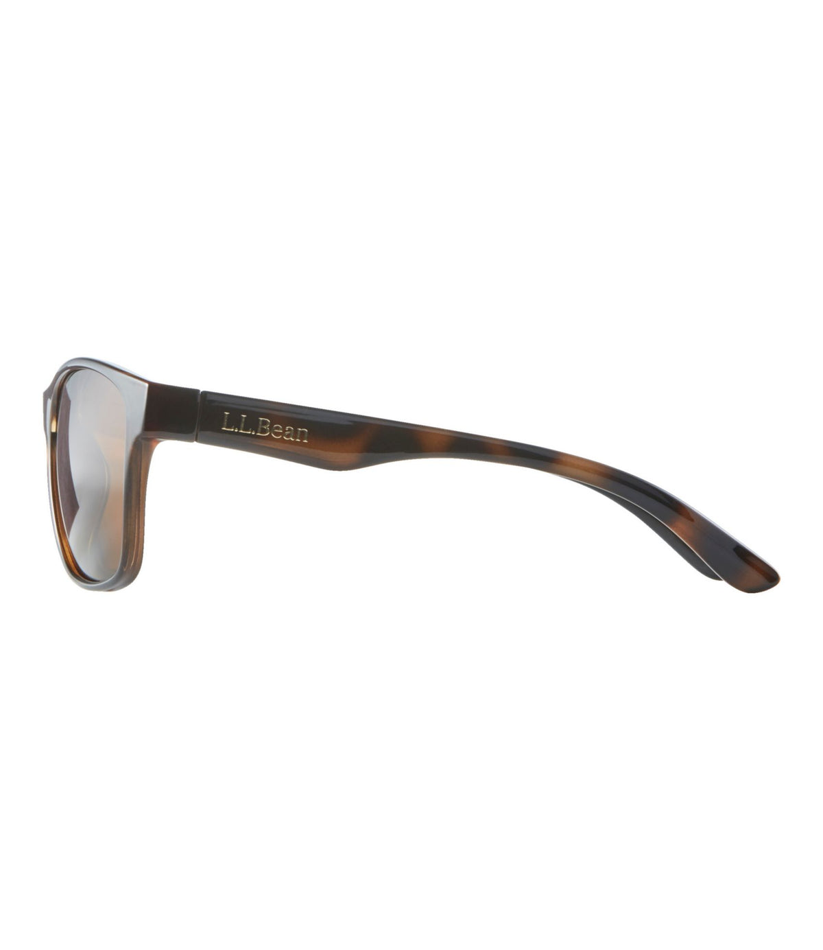 L.L.Bean Women's L.L.Bean Rockland Polarized Sunglasses Shiny Dark Demi/Brown